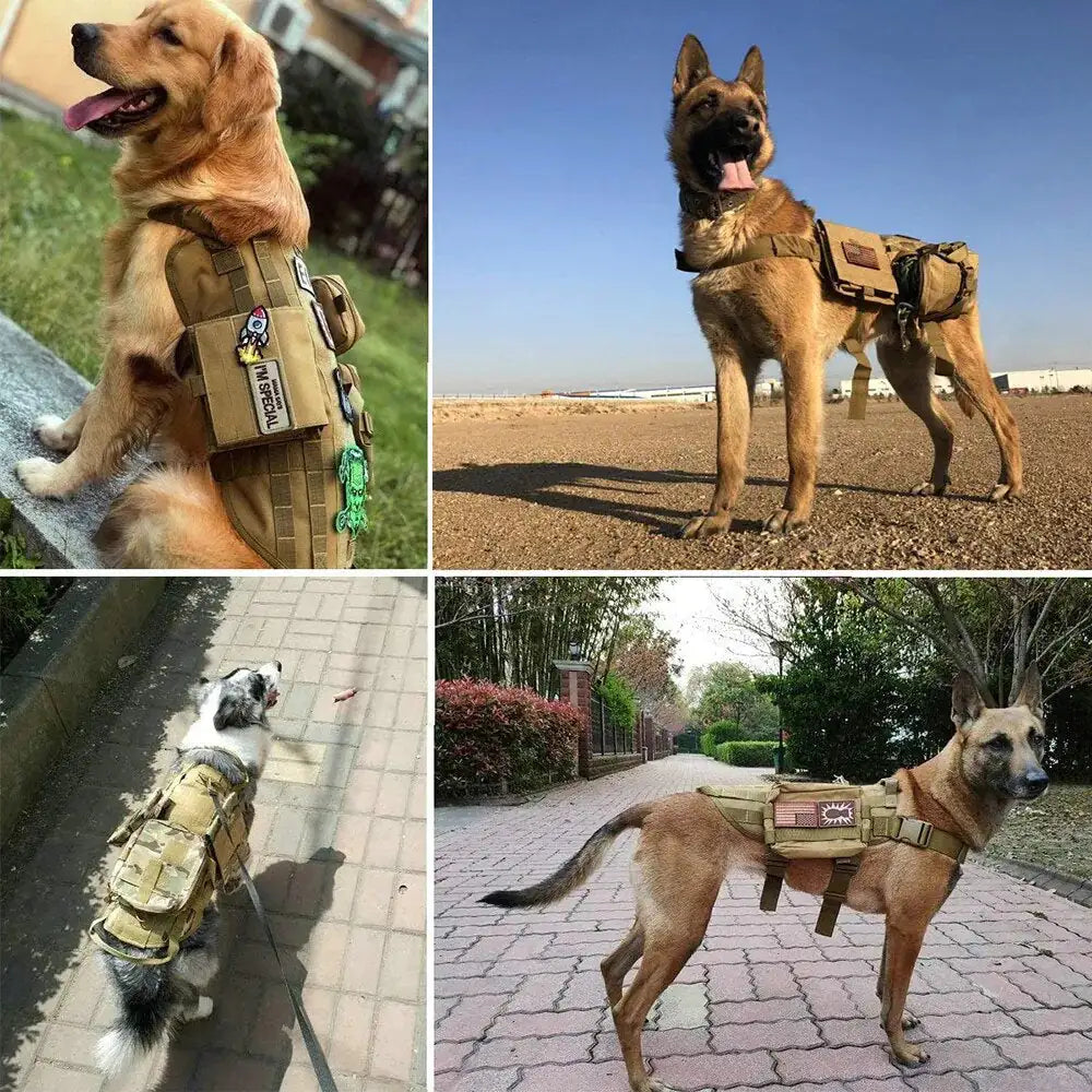 Dog Harness & Collar Patches