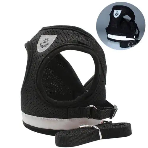 Cat Pet Harness And Leash