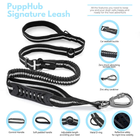 PuppHub Signature Leash