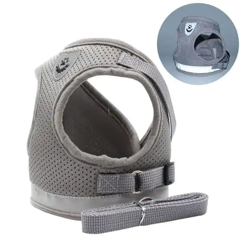 Cat Pet Harness And Leash