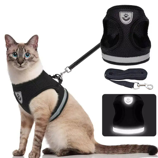 Cat Pet Harness And Leash