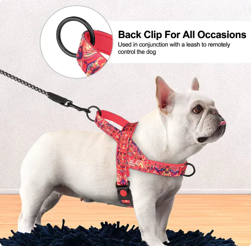 Nylon Dog Harness