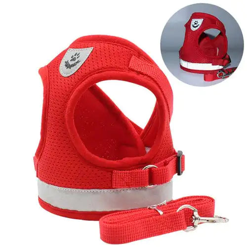 Cat Pet Harness And Leash