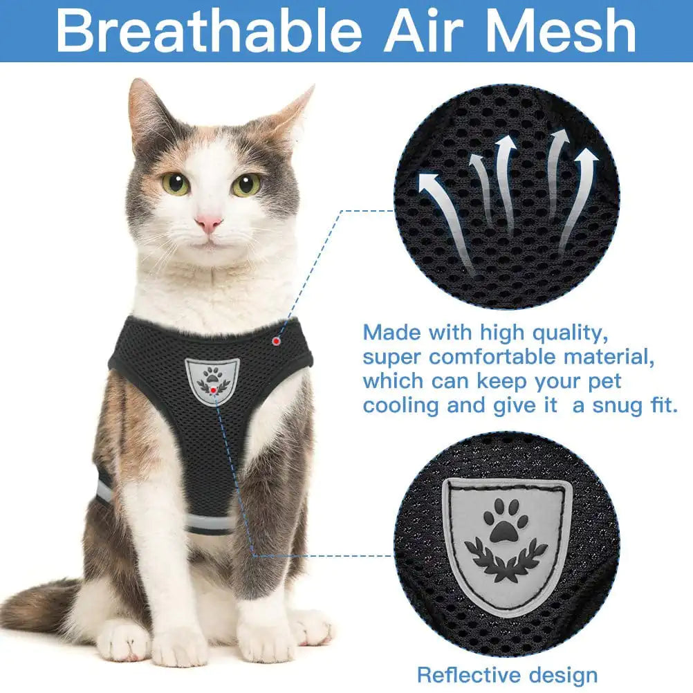 Cat Pet Harness And Leash