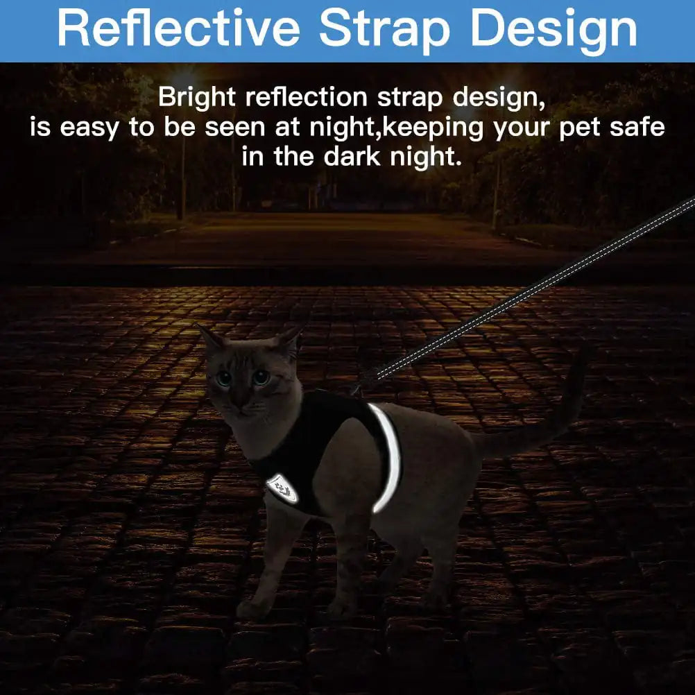 Cat Pet Harness And Leash